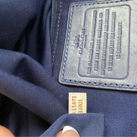 Coach XL Josie Blue Glass Python-Print Leather Tote - Picture 3 of 15